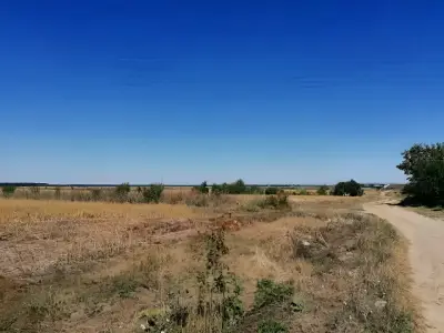 Teren extravilan arabil de vanzare-cumparare Moara Vlasiei Ilfov